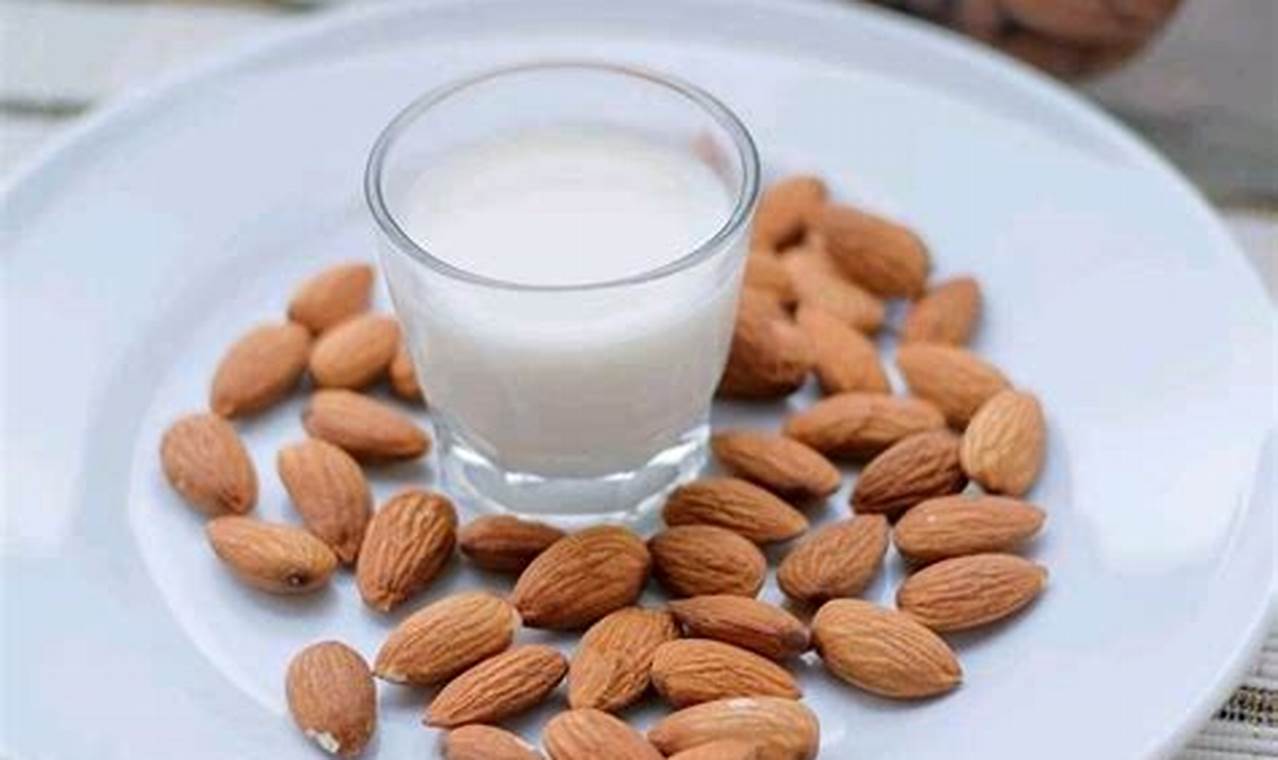 Rahasia Membua Almond Milk Sendiri: Panduan Lengkap untuk Penemuan dan Wawasan Baru