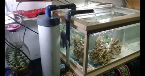Membuat Filter Aquarium Sendiri