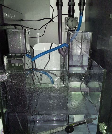 Cara Membuat Bio Filter Aquarium Kumpulan Tips