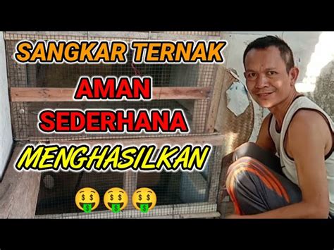 Cara Membuat Kandang Ternak Kenari Sederhana dan Nyaman