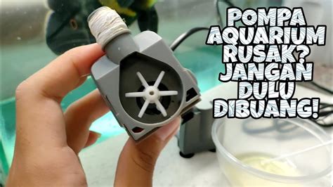 Cara Memperbaiki Water Pump Aquarium