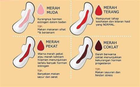 Cara Membedakan Darah Haid Dan Darah Hamil Tips Membedakan
