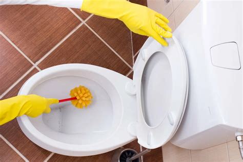 6 Cara Mengatasi WC Mampet dengan Mudah Hello Sehat