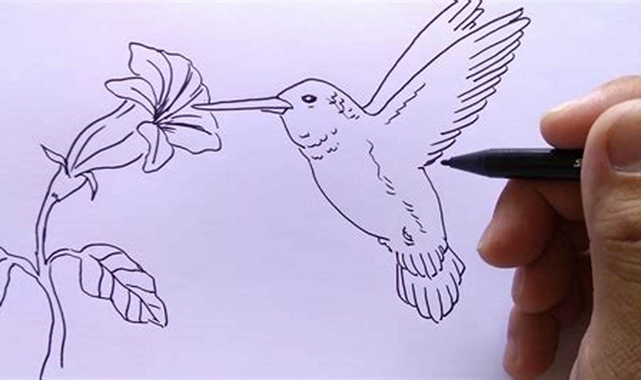 cara menggambar burung