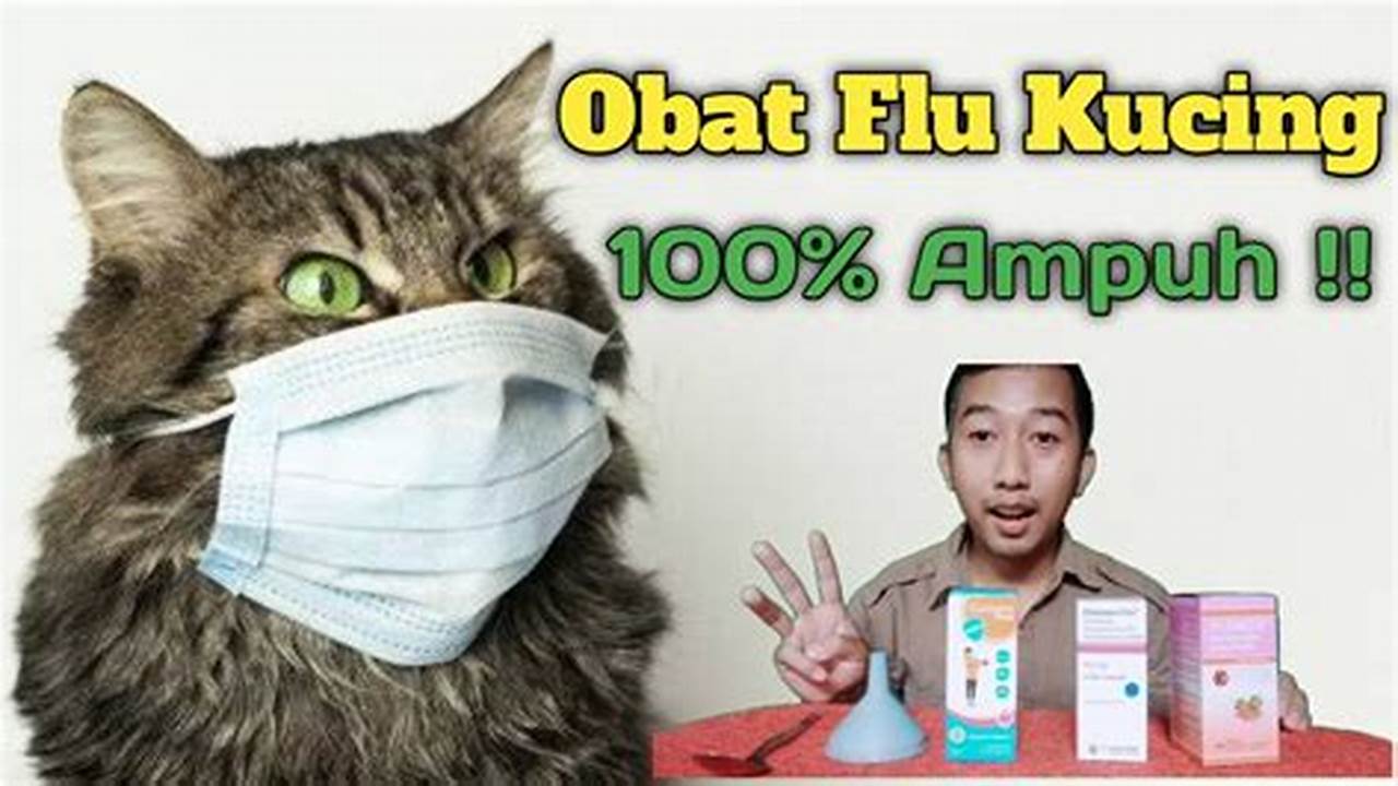 Panduan Tepat Mengatasi Kucing Flu: Gejala, Perawatan, dan Pencegahan