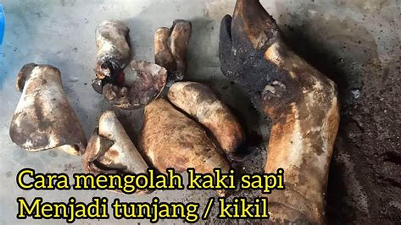 Rahasia Mengolah Kaki Sapi Jadi Kikil yang Empuk dan Gurih