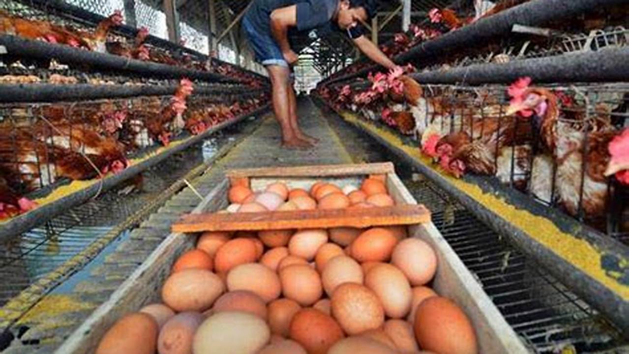 Rahasia Baru: Cara Membikin Sambal Ayam yang Bikin Lidah Bergoyang