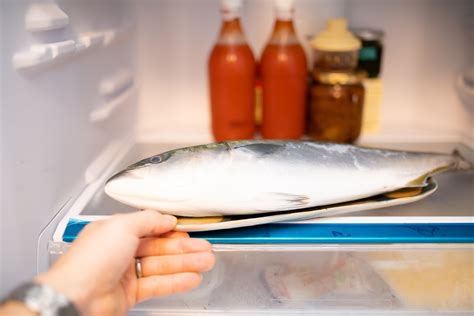 Cara Menyimpan Ikan Di Kulkas