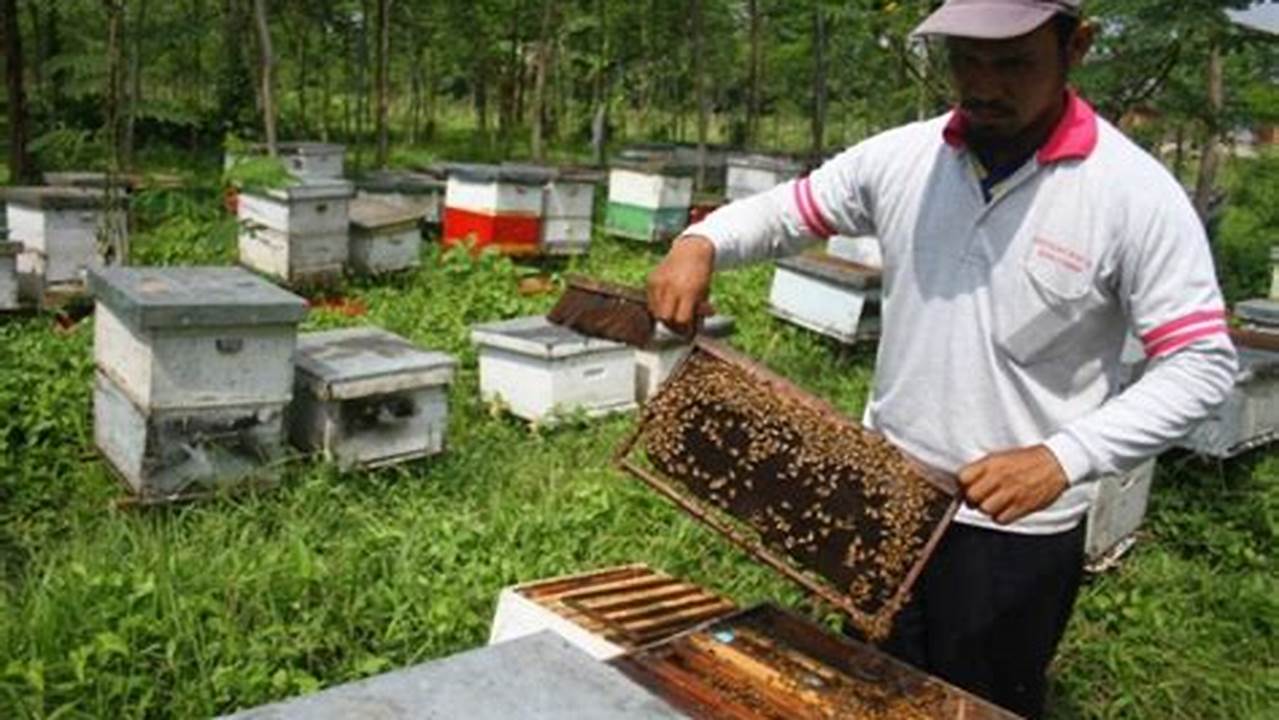 Panduan Lengkap: Cara Beternak Lebah Madu di Rumah untuk Pemula