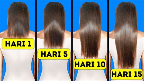 Rahasia Rambut Panjang dan Subur: Cara Alami yang Terbukti Efektif