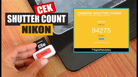 Cara Cek SC ( Shutter Count ) Nikon YouTube