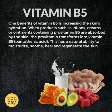 Vitamin B5 (Calcium Pantothenate) Benefits