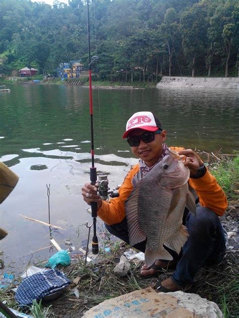 cara mancing ikan nila di sungai