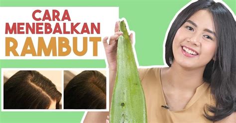 Rahasia Terungkap: Cara Melebatkan Rambut Alami, Rambut Tebal Impian Anda Terwujud!