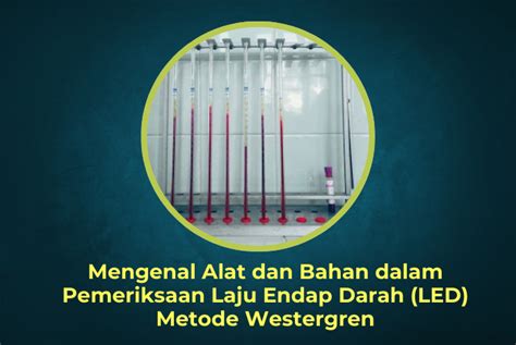 cara membaca led westergreen