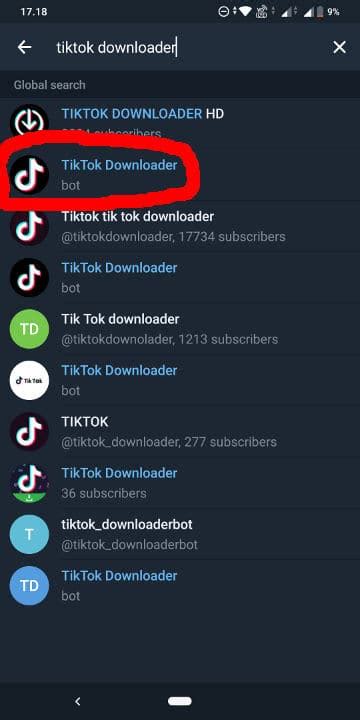 cara membuka bot TikTok Video Downloader di Telegram