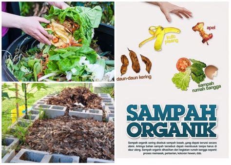cara memilih sampah organik untuk kompos