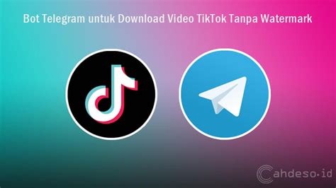 cara mencari bot TikTok Video Downloader di Telegram