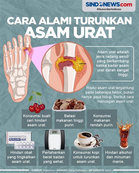 Cara Mencegah Dan Mengatasi Asam Urat Secara Alami