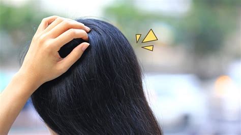 Rahasia Mengatasi Rambut Gatal yang Bikin Pusing