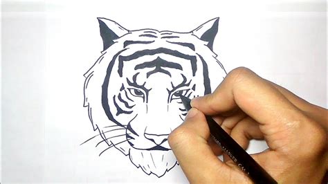 Reza FanArt [Design] Cara menggambar kepala Harimau
