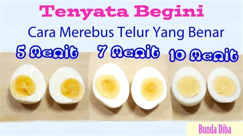 cara merebus telur yang benar