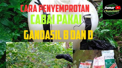 Cara Pakai Gandasil B