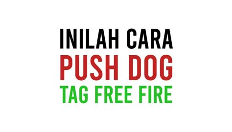Cara push dog tag persi guild ENDZONE•ID YouTube