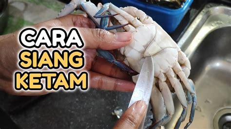 Senyum macam saya.! Caracara siang ketam dengan mudah