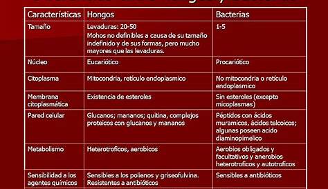 Características de hongos y bacterias 4 11