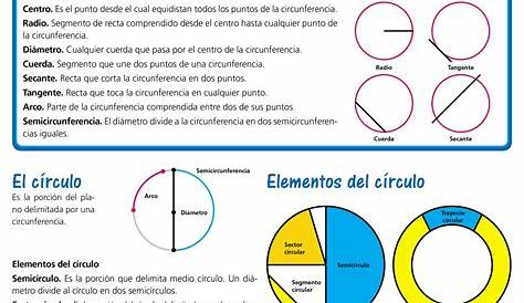 🔴 El CIRCULO la CIRCUNFERENCIA y sus ELEMENTOS [para NIÑOS de PRIMARIA