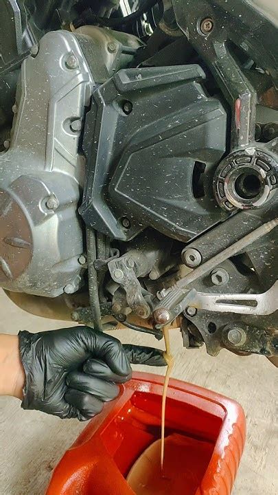 Caramel Colored Engine Oil