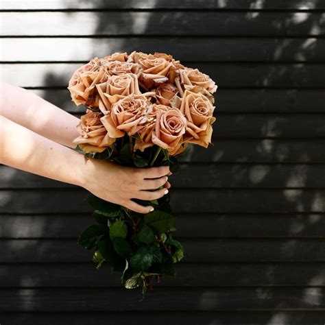 Caramel Colored Roses