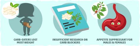 Carb Blockers Research
