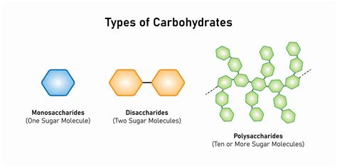 Carbohydrate Chain Definition