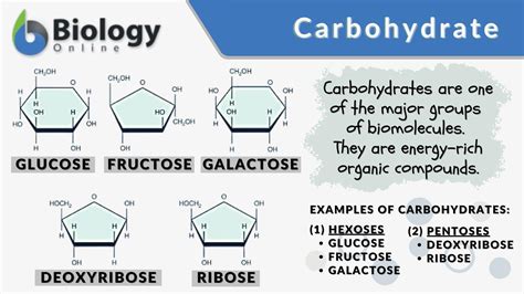 Carbohydrate Definition Basic