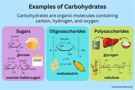 Carbohydrate Meaning Examples