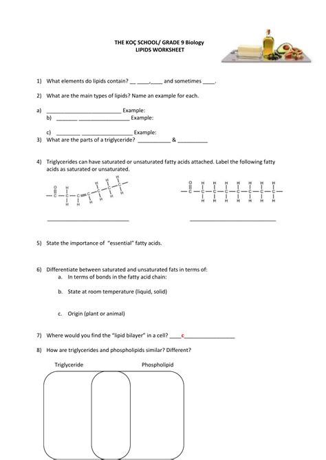 carbohydrates and lipids worksheet answer key