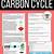 carbon cycle reading comprehension worksheet