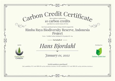 carbon credit certification in india