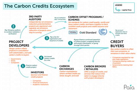 carbon credit trading explained
