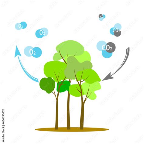 Carbon Dioxide Help Trees