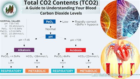 Understanding Carbon Dioxide Total: The Impact on Our Planet's Future