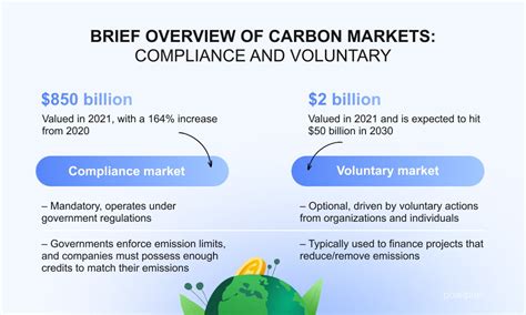 carbon trading market report