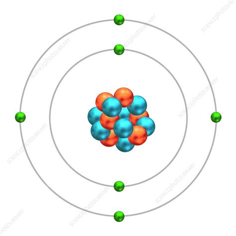 carbon-14 diagram