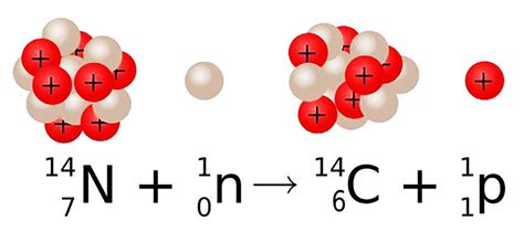 carbon-14 to nitrogen-14