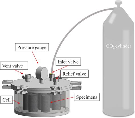 Carbonation Digestion