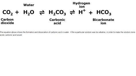 carbonic acid dissociation equation