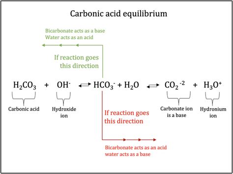 carbonic acid is formed by the combination of