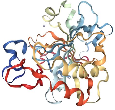 carbonic anhydrase ii structure